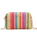 Sac à main original et raffiné multicolore sur fond blanc
